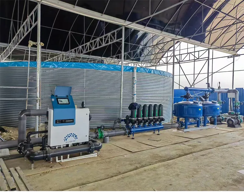 Dự án canh tác chất nền visunner Trung Quốc Vân Nam