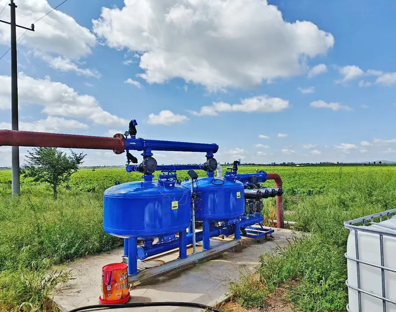 Dự án trồng khoai tây của tỉnh Hà Bắc ở Trung Quốc