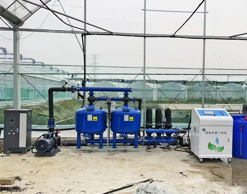 Dự án trồng cà chua Gansu Trung Quốc