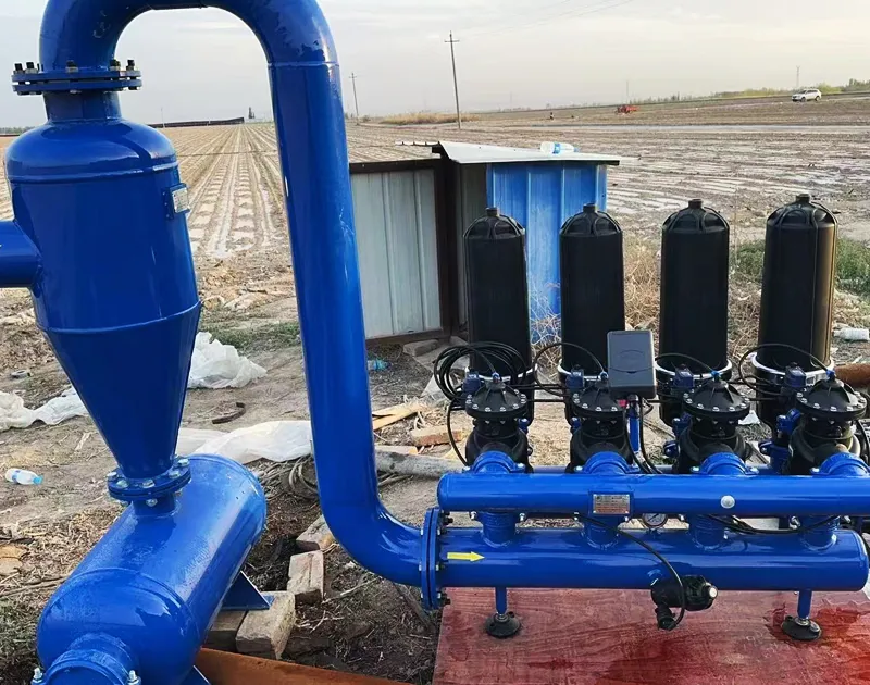 Dự án trồng lúa mì Hà Hà